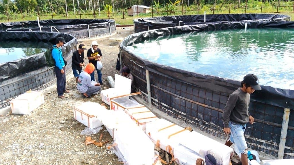 OPERATIONS · Community activity beside the aquaculture ponds
